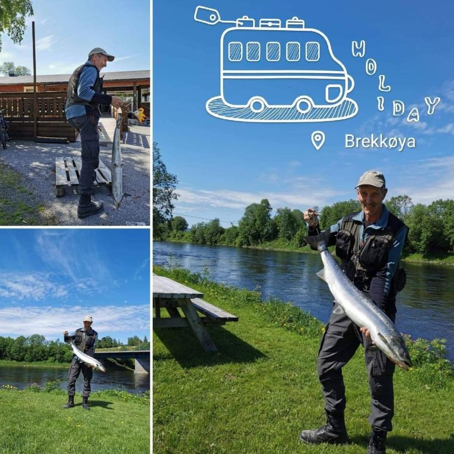 Surnadal Camping Brekkoya Skei  Экстерьер фото